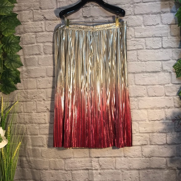 Anthropologie Ombre Pleated skirt - Picture 10 of 16